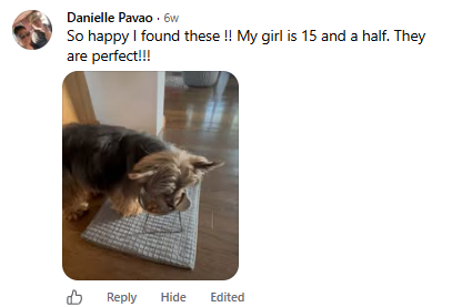 Danielle’s dog using the feeding bowl