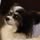 Kathy Knuckles profile picture