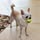 Linda Boege profile picture